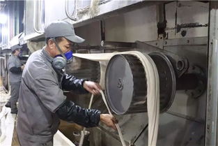 創新驅動，綠色賦能——阿拉爾中泰紡織科技公司毛型纖維新產品成功下線
