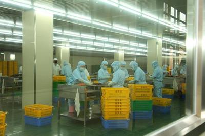 東莞道滘16家企業榮獲2022年度食品生產企業質量獎，彰顯產業高質量發展