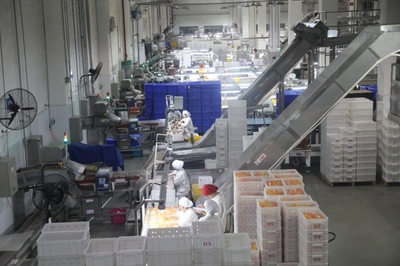 遂寧 以“智改數(shù)轉(zhuǎn)”為傳統(tǒng)產(chǎn)業(yè)“換芯”，驅(qū)動(dòng)食品銷售升級(jí)